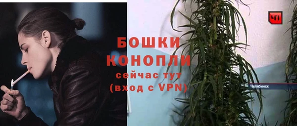 дмт Ельня