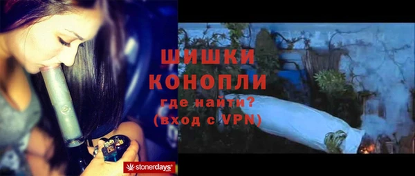 дмт Ельня