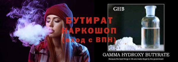 дмт Ельня
