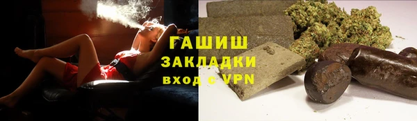 дмт Ельня