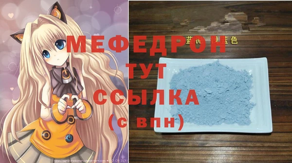 дмт Ельня