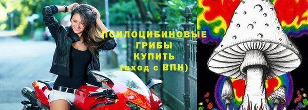 прущая мука Елабуга