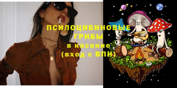 прущая мука Елабуга