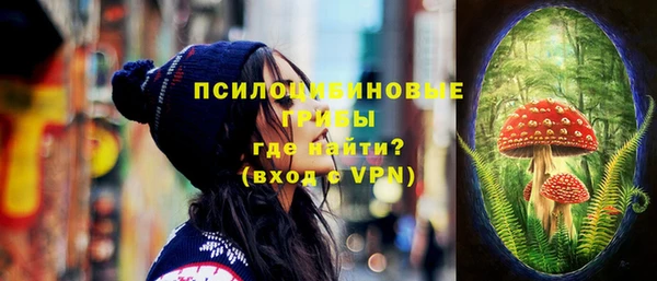 прущая мука Елабуга