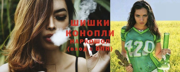 дмт Ельня