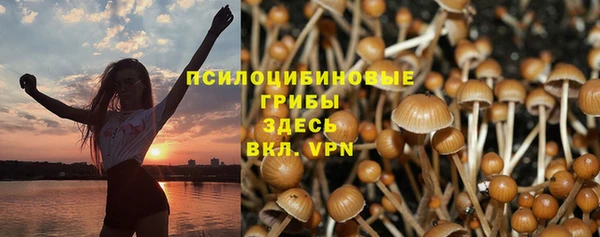дмт Ельня