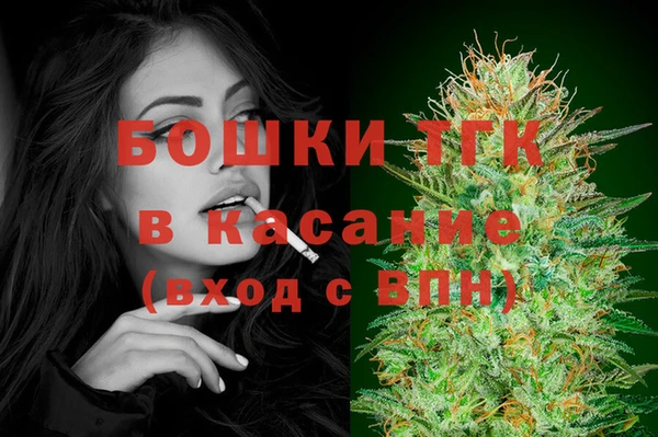 дмт Ельня