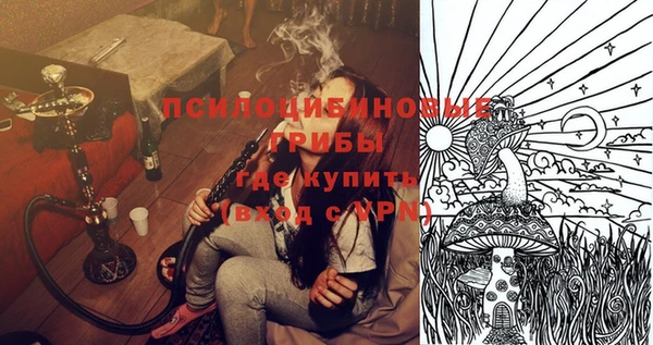 дмт Ельня